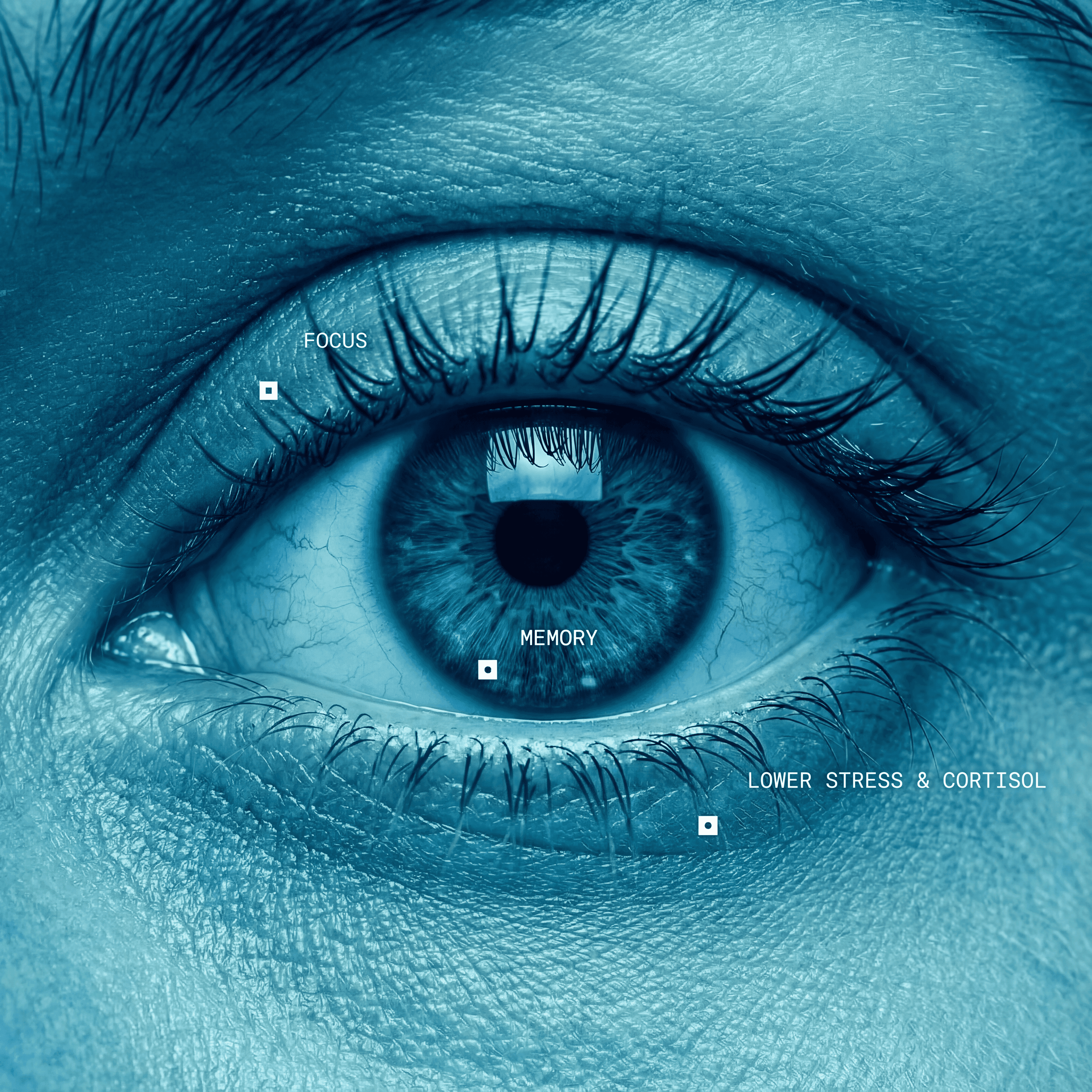 EternaIQ Wellness Vision