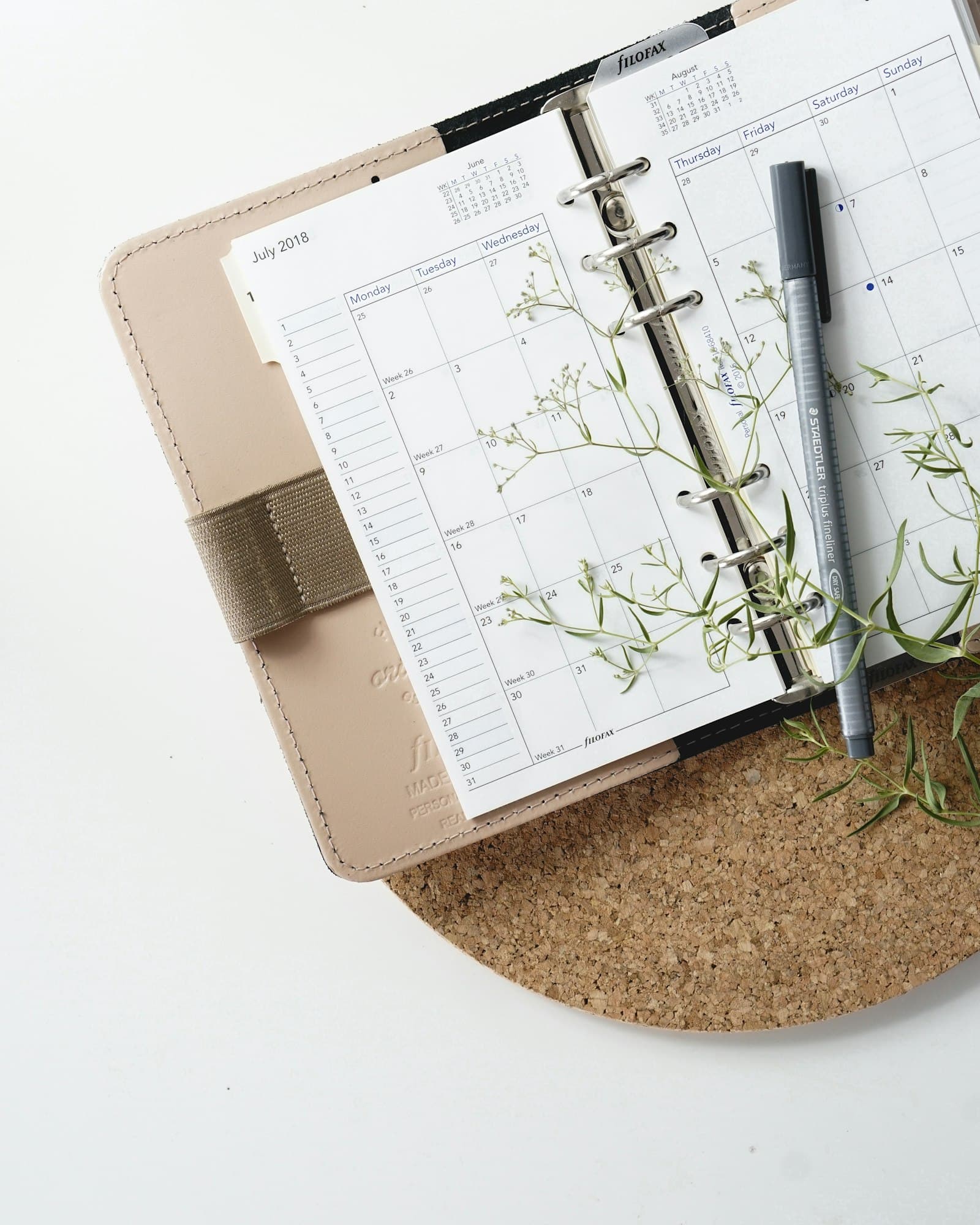 Longevity Planning Session